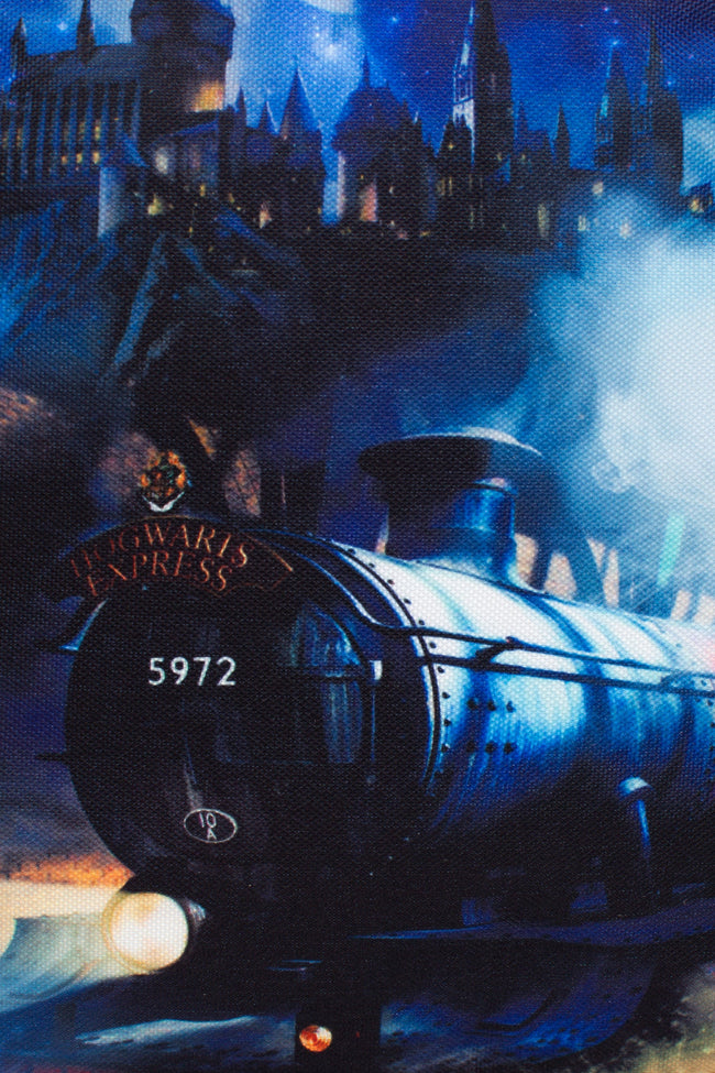 HARRY POTTER X HYPE. HOGWARTS EXPRESS LUNCH BOX