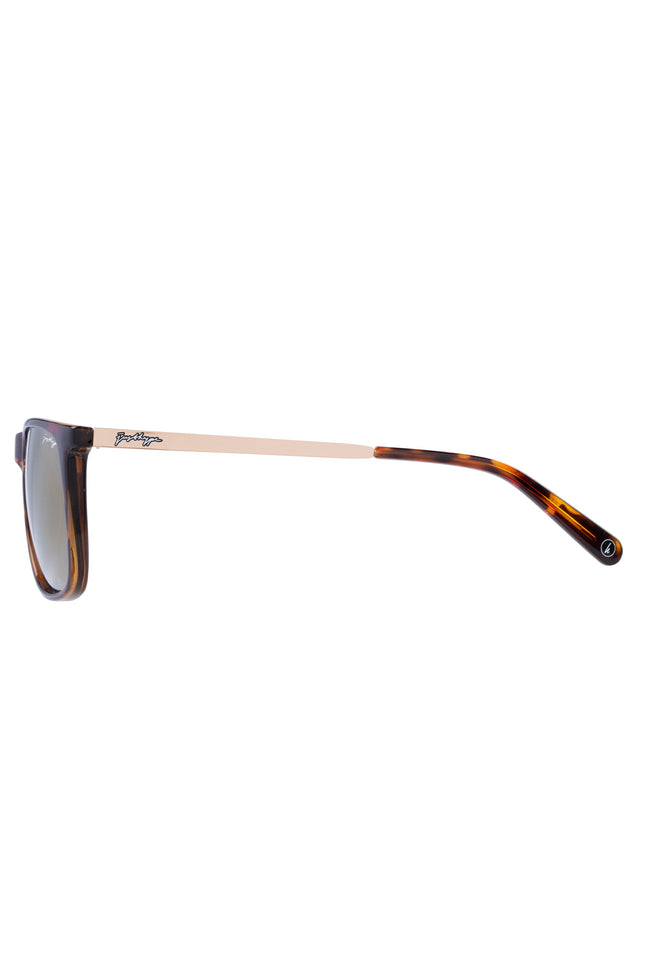 HYPE OVERSEER GOLD TORTOISE SHELL SUNGLASSES